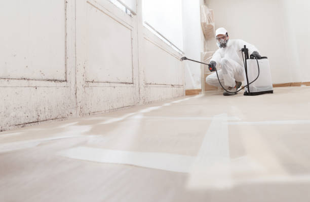 24/7 Emergency Commercial Mold Remediation experts in Hopewell, PA